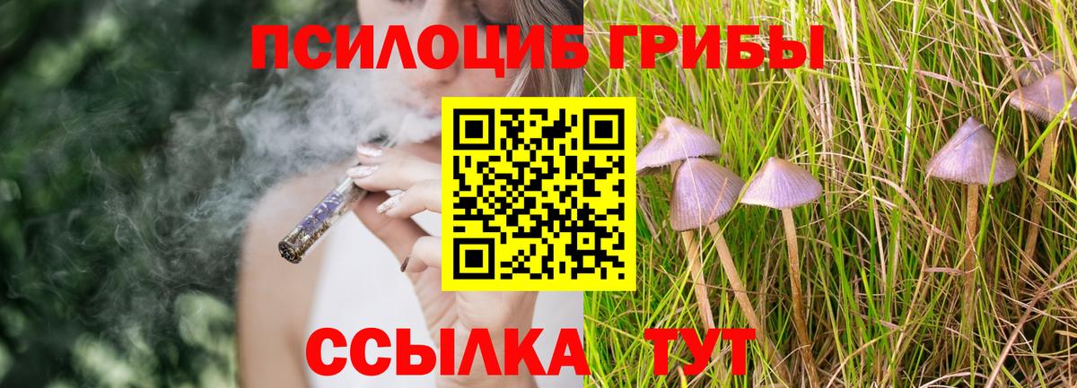 Сергиев Посад  Псилоцибиновые грибы мицелий  Вход с VPN  Псилоцибиновые грибы прущие грибы 